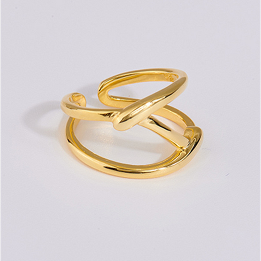 Abstract Z Ring
