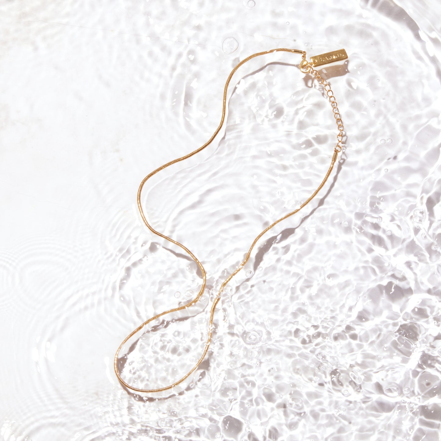 Dainty Herringbone Chain